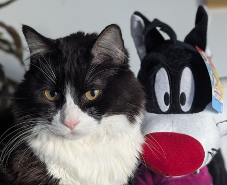 Clotilde - Head of Infrastructure at Hexacats